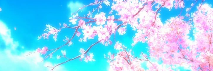 cherrybalmed's profile banner image