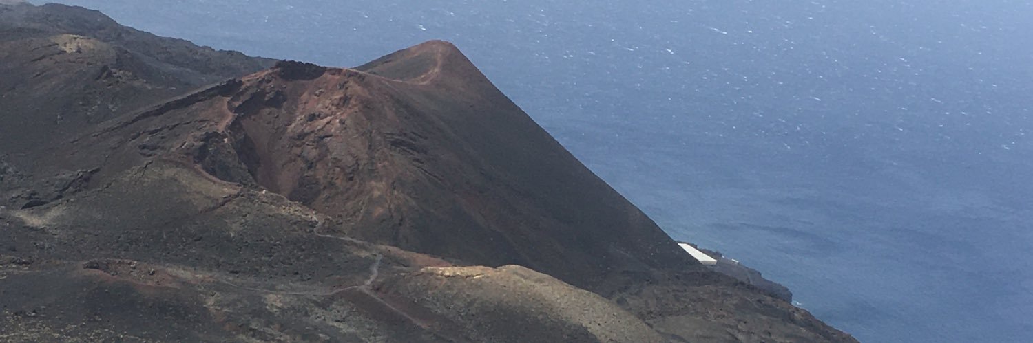 Alicia futicool +S banner