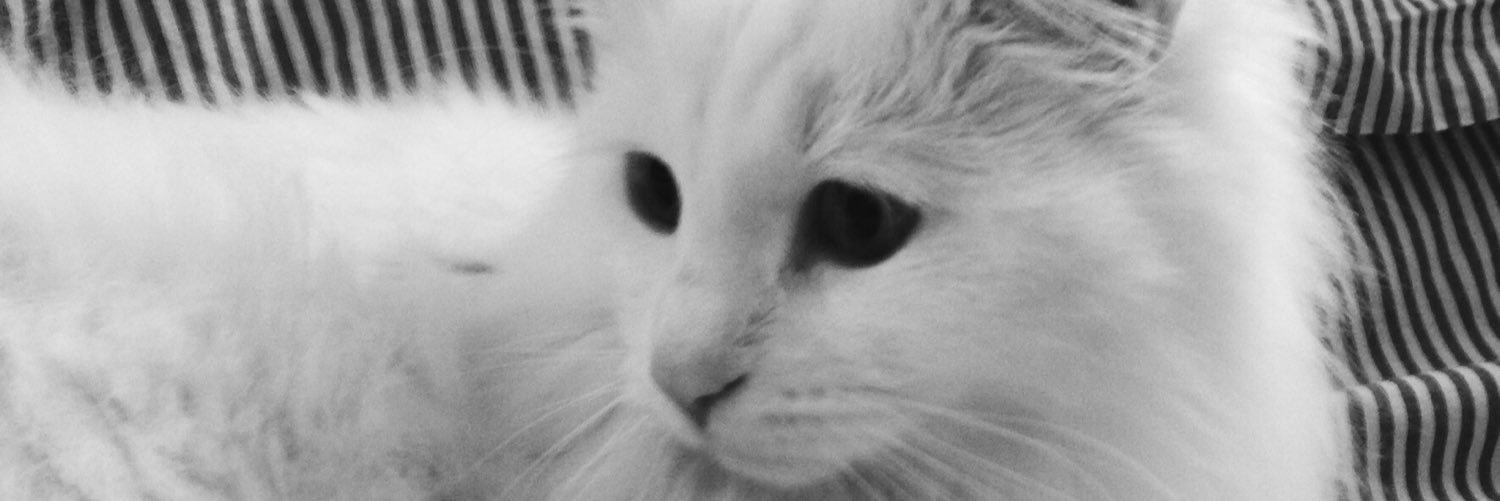 alvaottilia's profile banner image