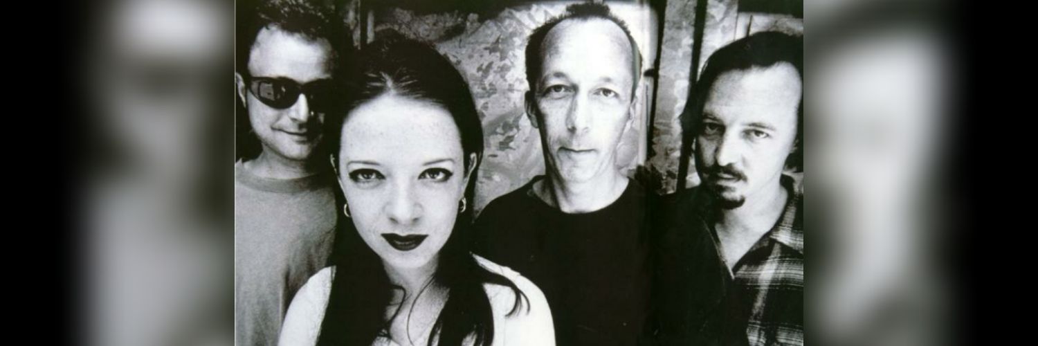 ᴛᴏɴʏ_ᴘ. banner