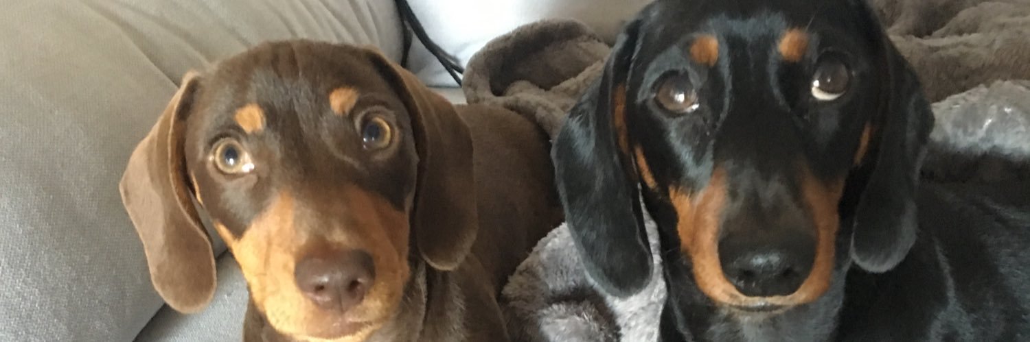 Steve and Stan-Stan The Sausages banner