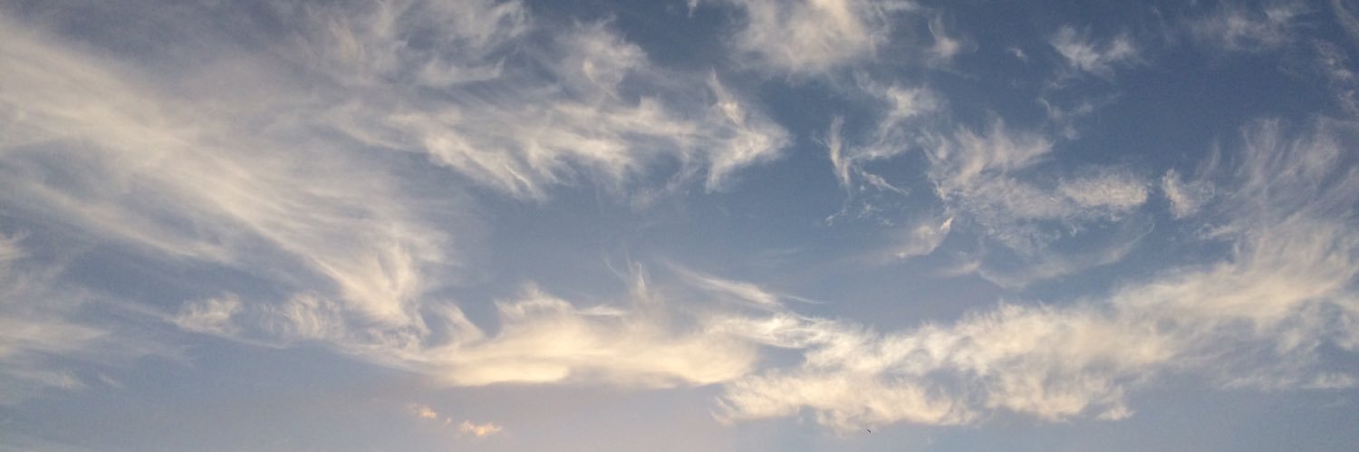 emzzjin's profile banner image
