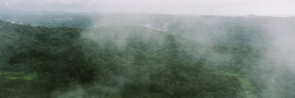 sicc_coffee Profile Banner