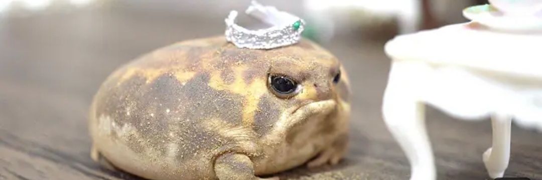 Melisaurus_Rex's profile banner image