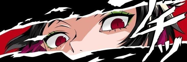 Sebas banner