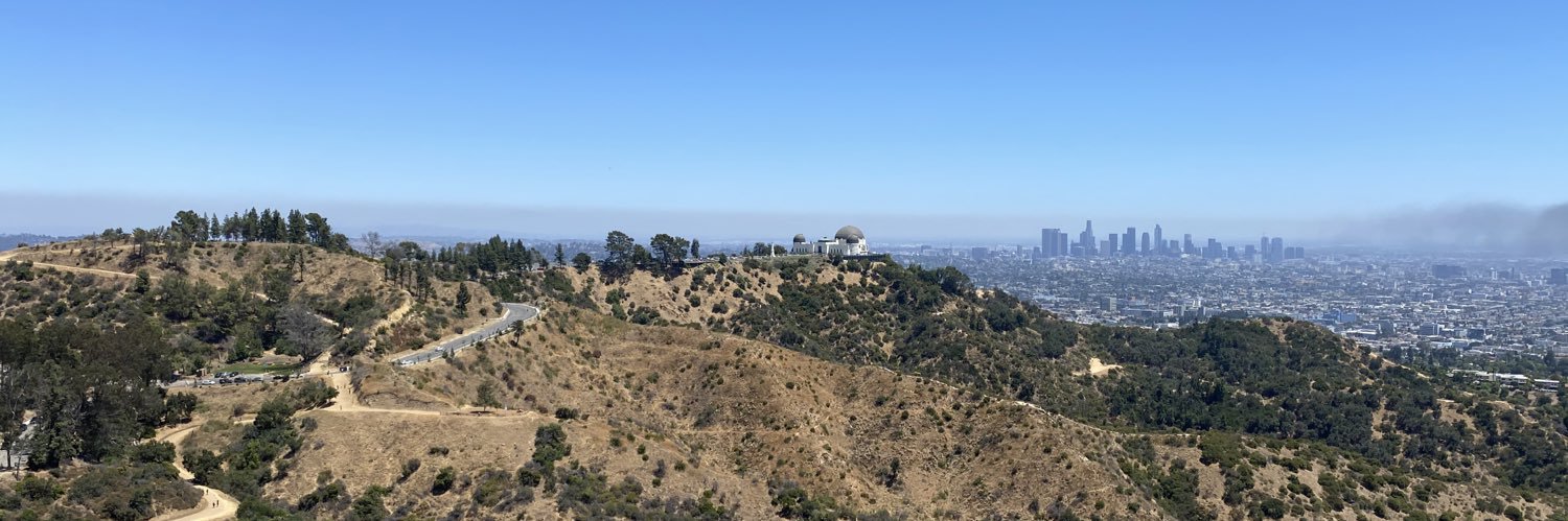 Rose Colored Boy banner