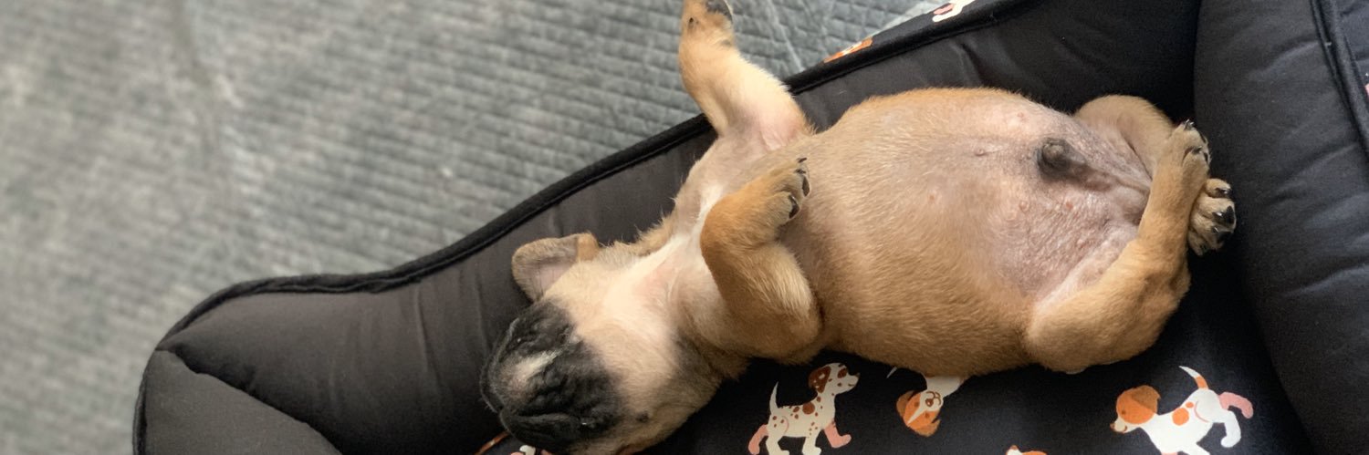 Gabriel Figueiredo banner