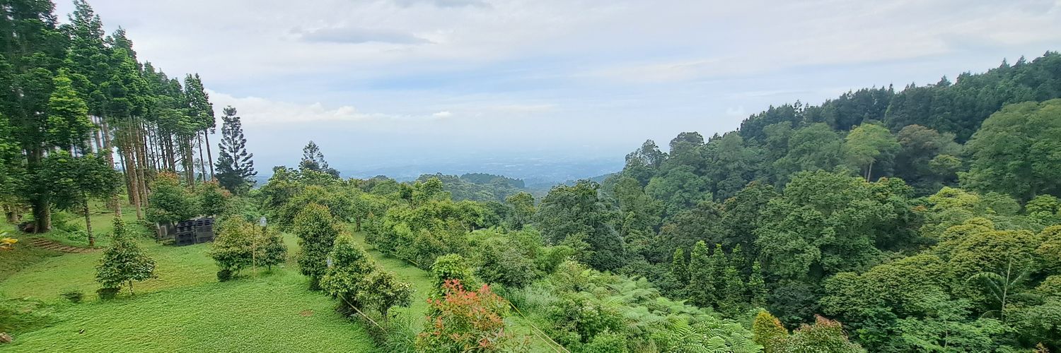 Lusiichi's profile banner image