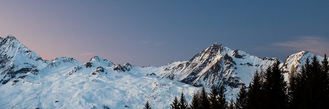 Dr Fi Shallis 🦁 🏳️‍🌈 ❄️ (she/her) banner