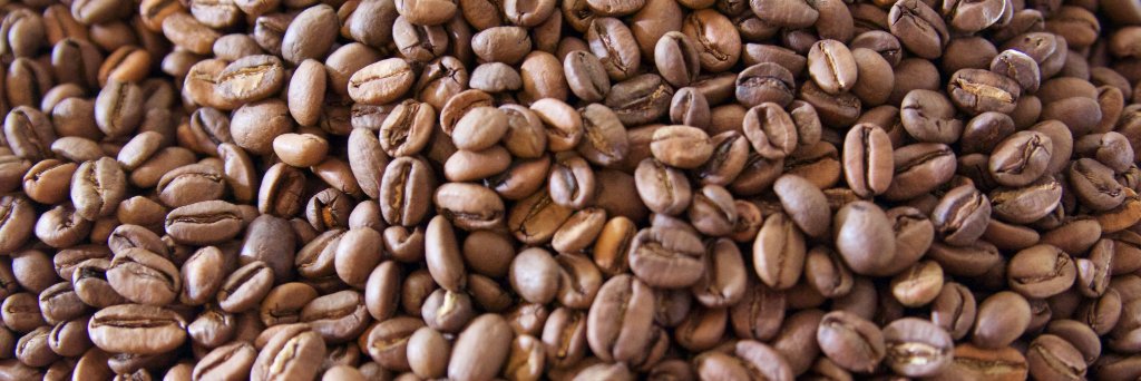Aksum_Coffee's profile banner image