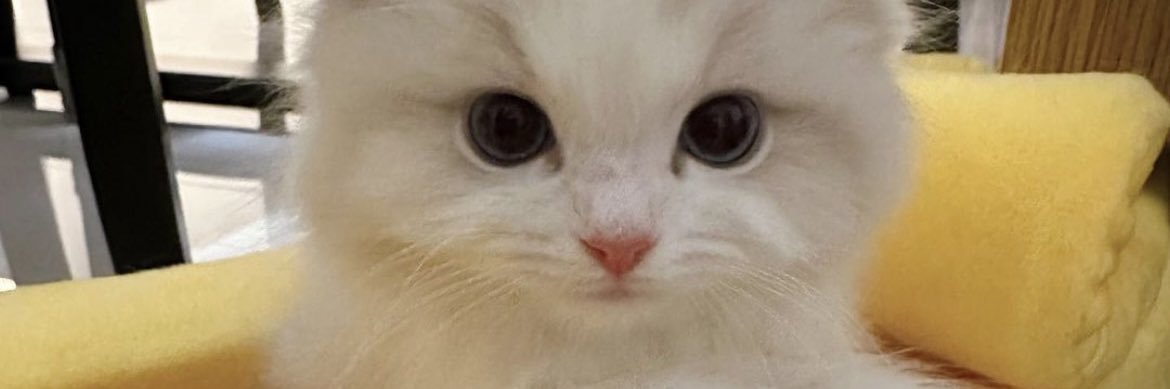 berryylemonade's profile banner image