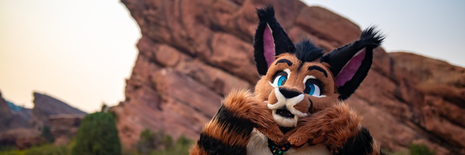 Cooper Caracal (Has Gone Elsewhere) banner