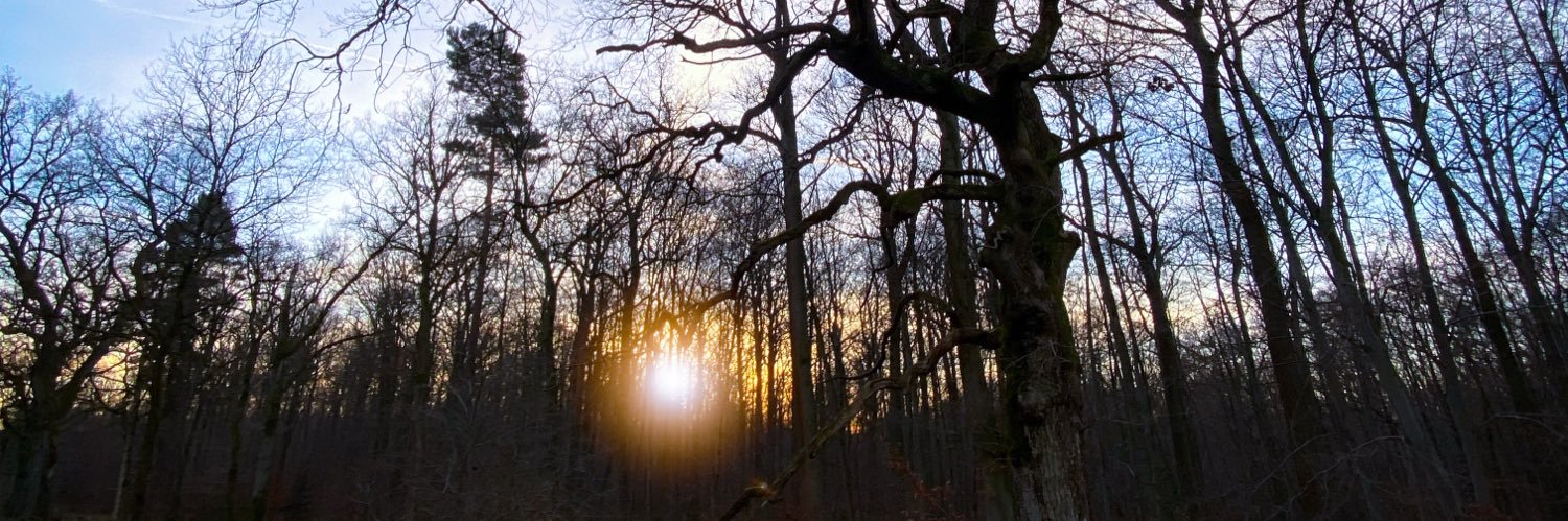 ❥ ✦ Sunstormed ✧ ∞ banner