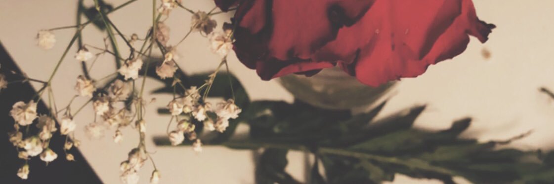 ‏ ‏ ♡ HNO banner