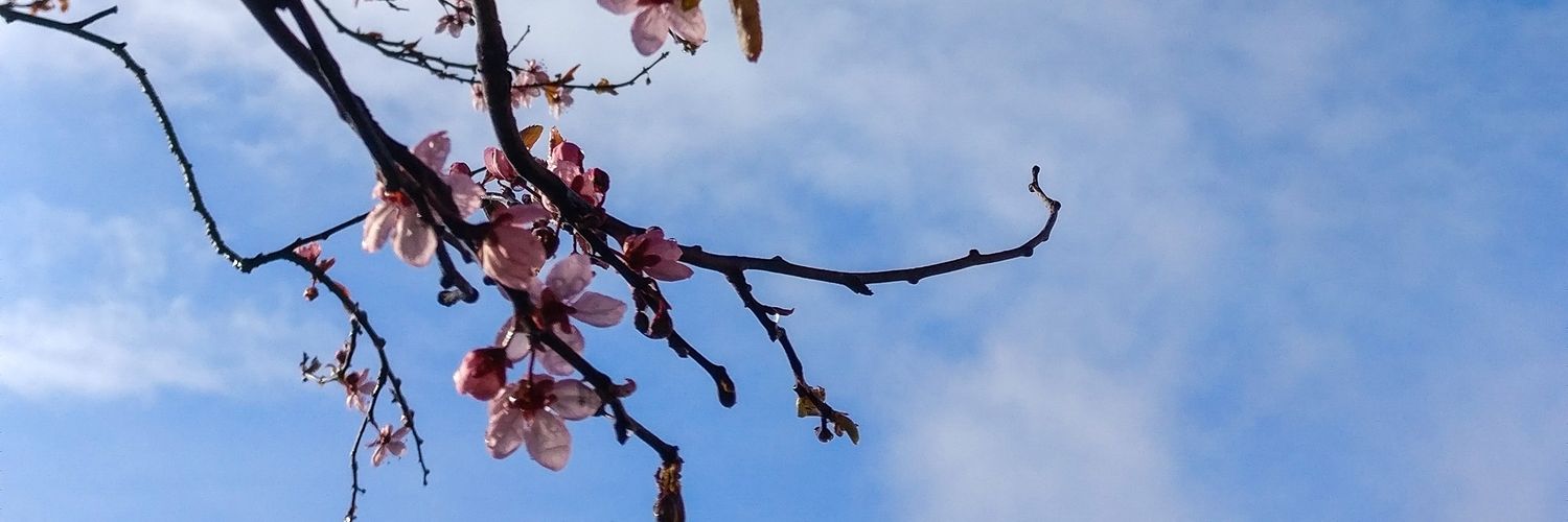 Anupoma Joyeeta Joyee banner