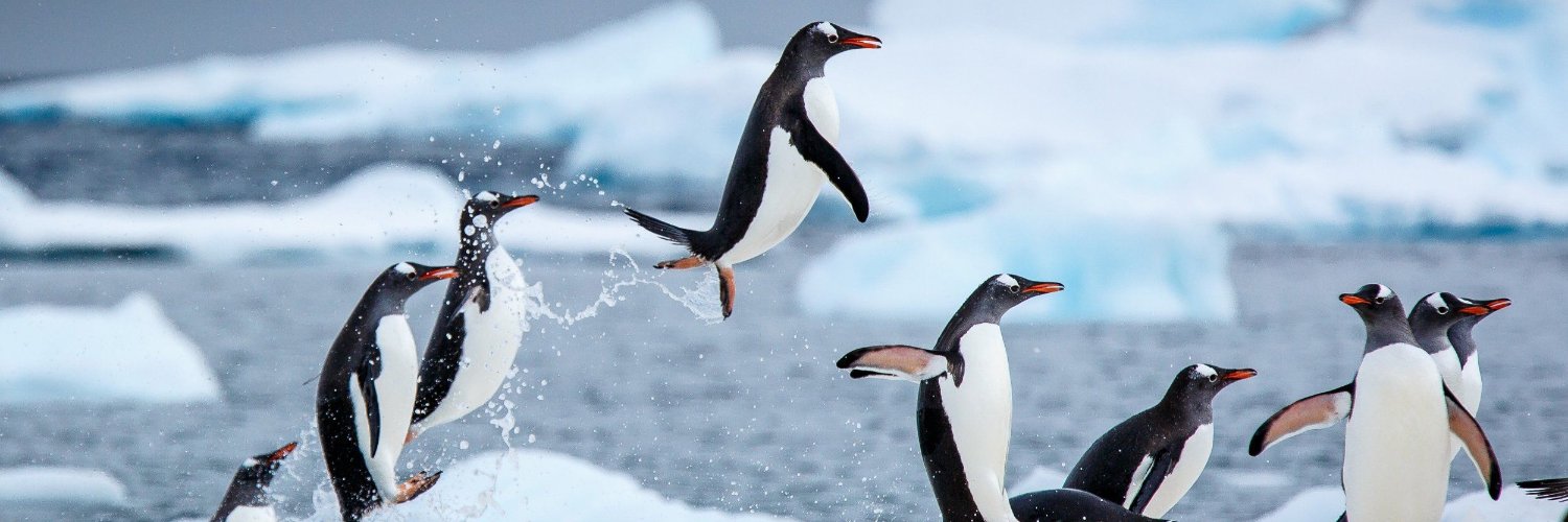 Eli Mitchell-Larson banner