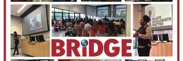 umassbridge Profile Banner