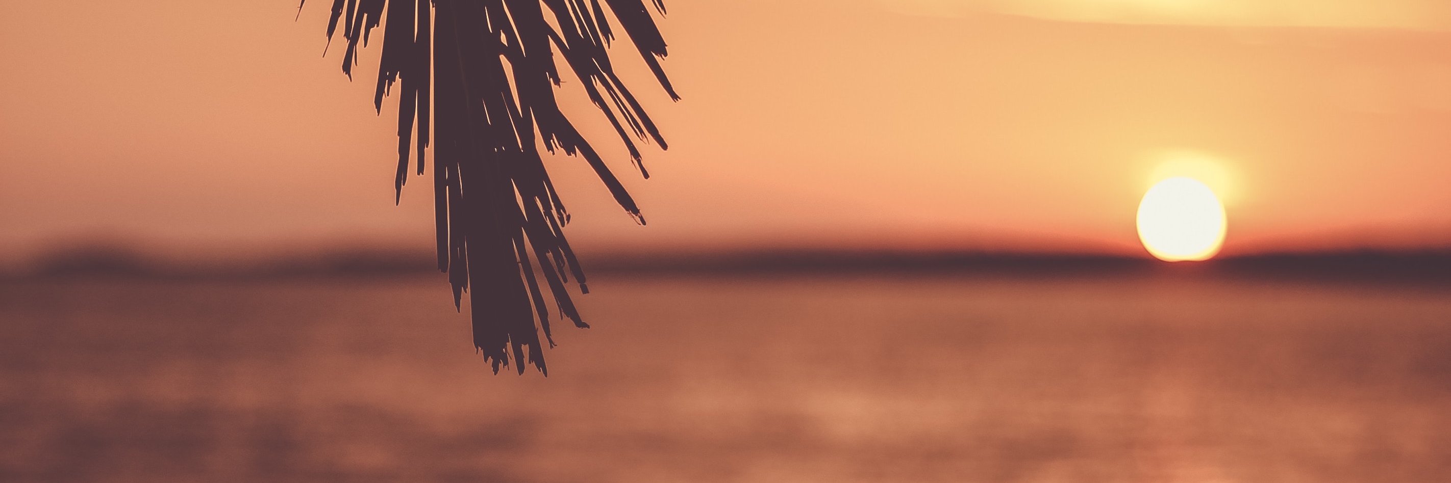MartaFillol's profile banner image