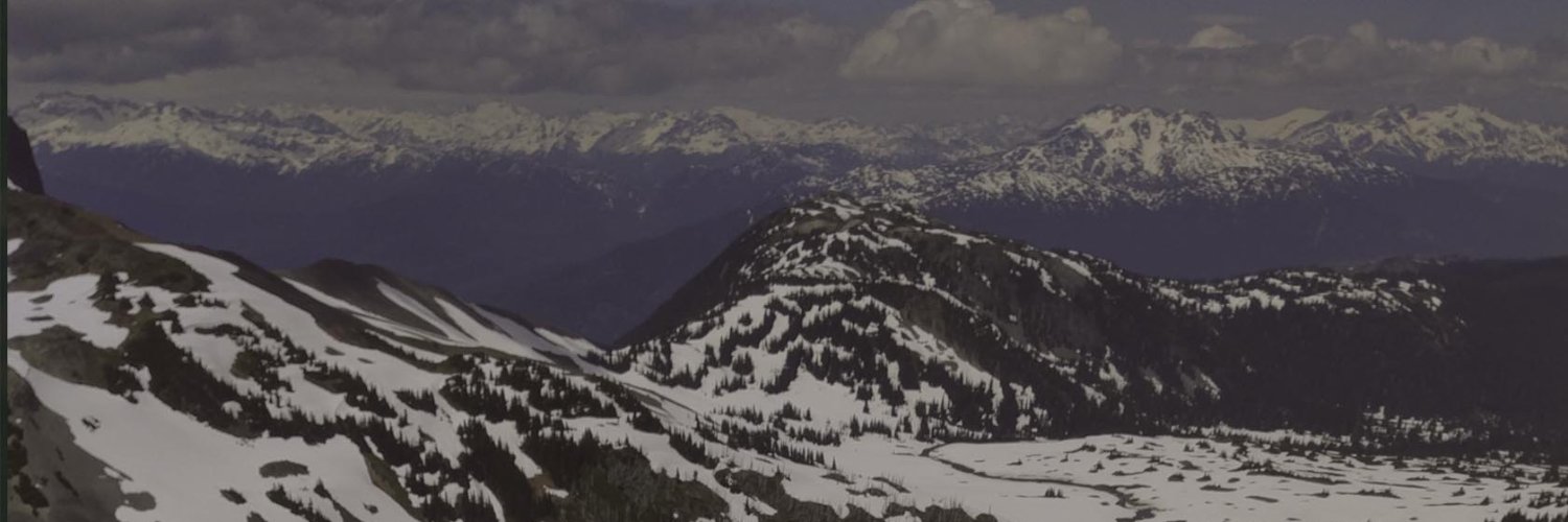 Michael E. Martin banner