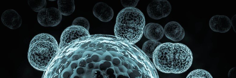 Biotech Resources banner