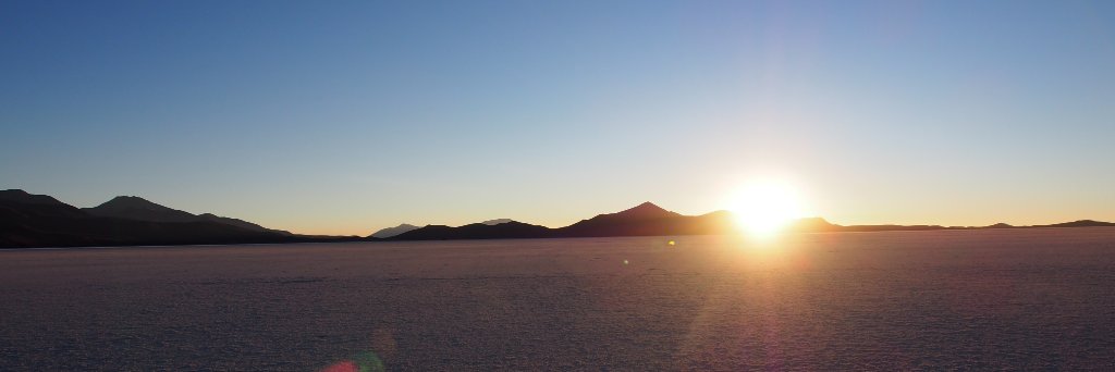 AliceGuilhamon's profile banner image