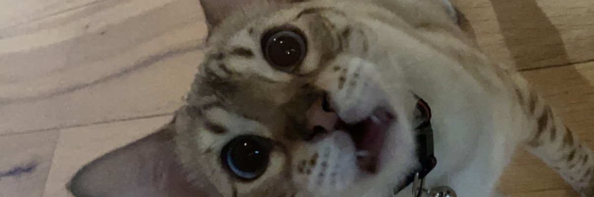 oliverolason's profile banner image