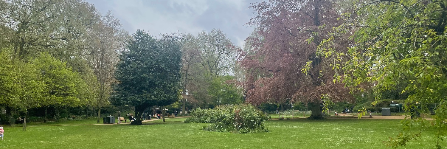 Dr Luke Davis banner