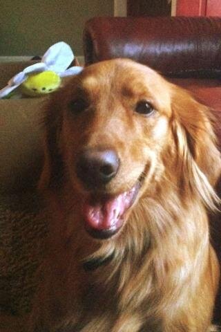 RedelRick's profile banner image