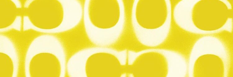 Kelly Dmyterko banner