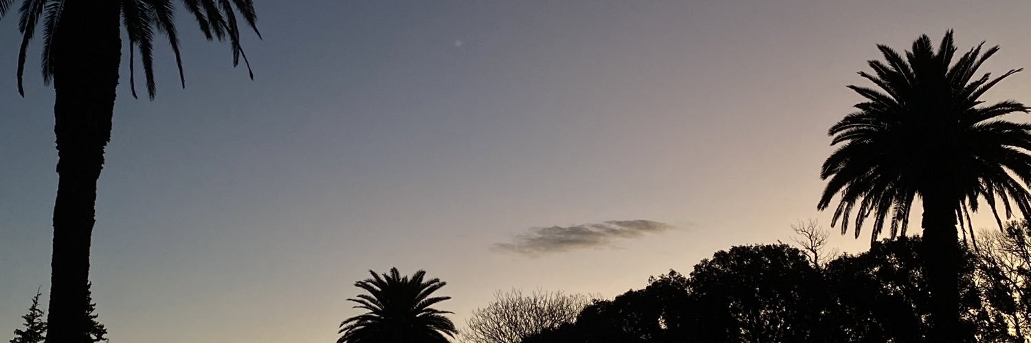 evillalabeitiaf's profile banner image