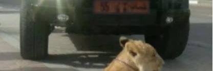ALI_TABOOK33's profile banner image
