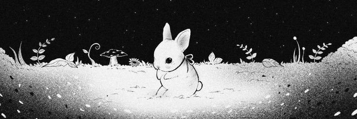 aylugi's profile banner image