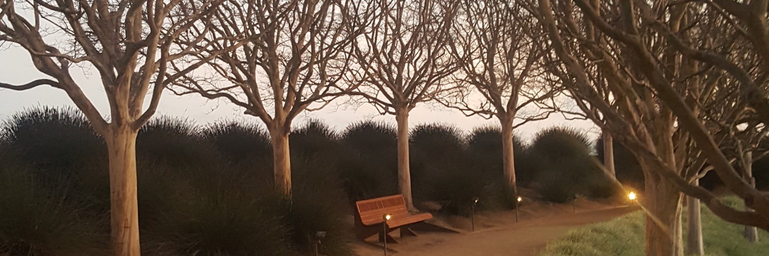 cosomin's profile banner image