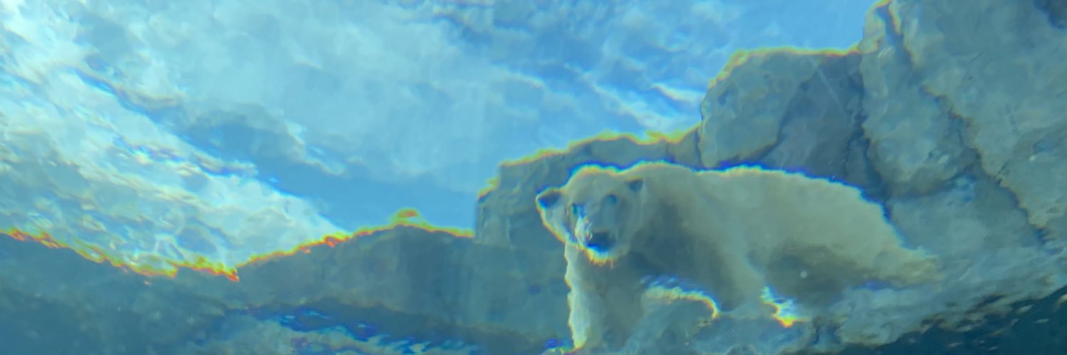 julia macpherson 🍓 banner