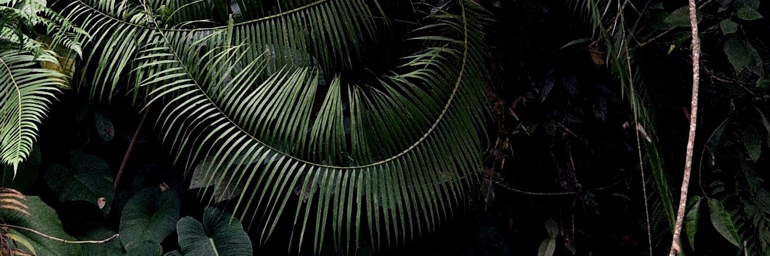 RogerBankroft's profile banner image
