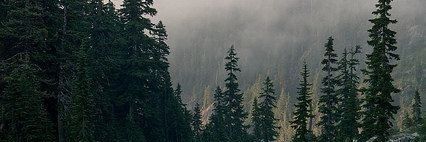 uchihamoonsun's profile banner image
