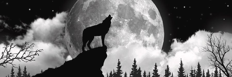noxious_queen's profile banner image