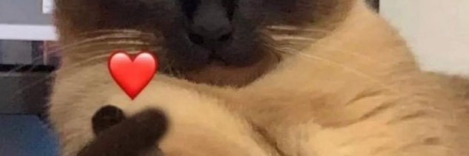ssupmer's profile banner image