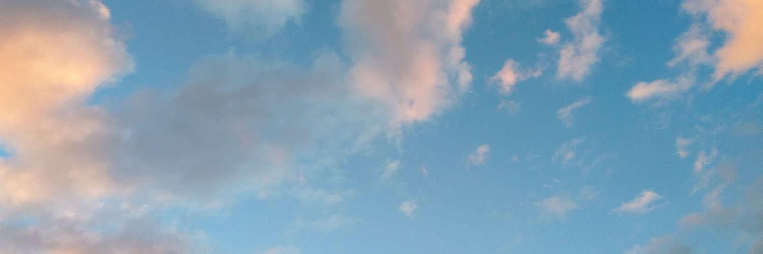 Vadim banner
