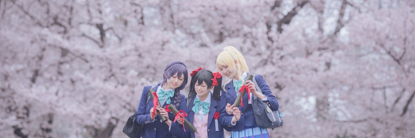 真桜's banner