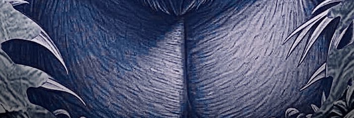 AngelBalmerik's profile banner image