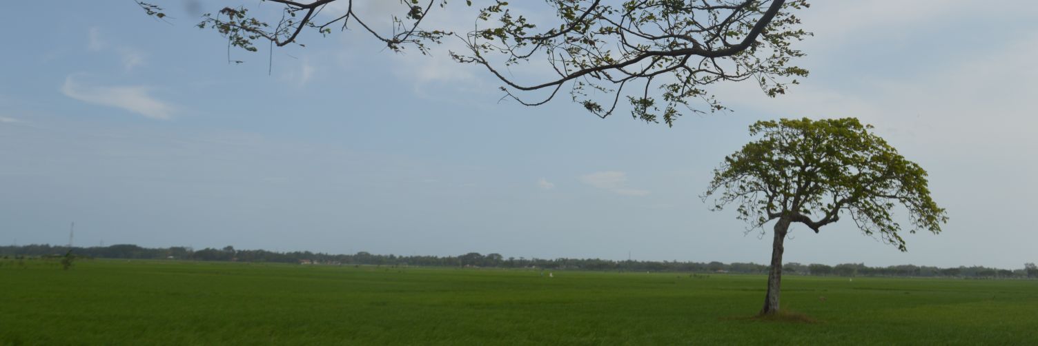 fajjarnugroho's profile banner image