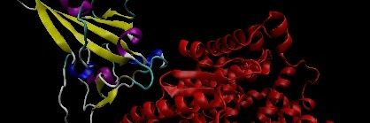 Carlos Castro banner