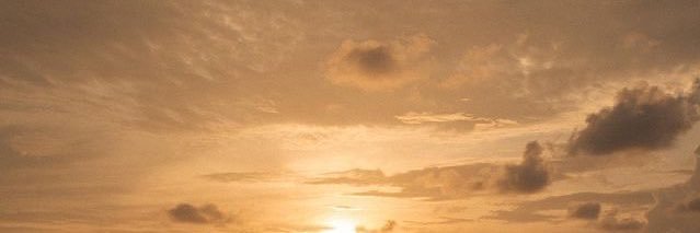 t banner