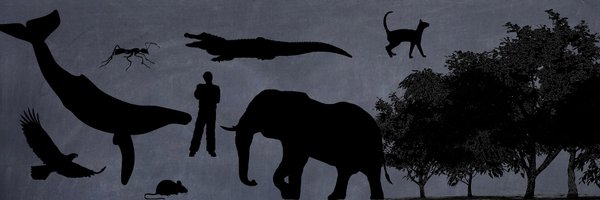SocPhysBioInt Profile Banner