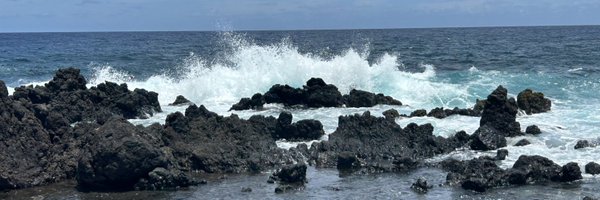 cakowalski2 Profile Banner