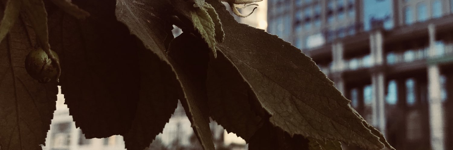 AmJohnsKenn's profile banner image