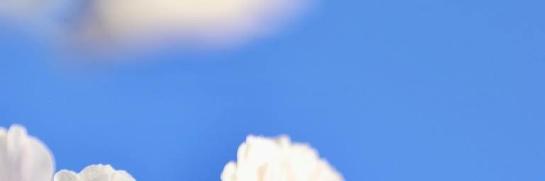 D83703280's profile banner image