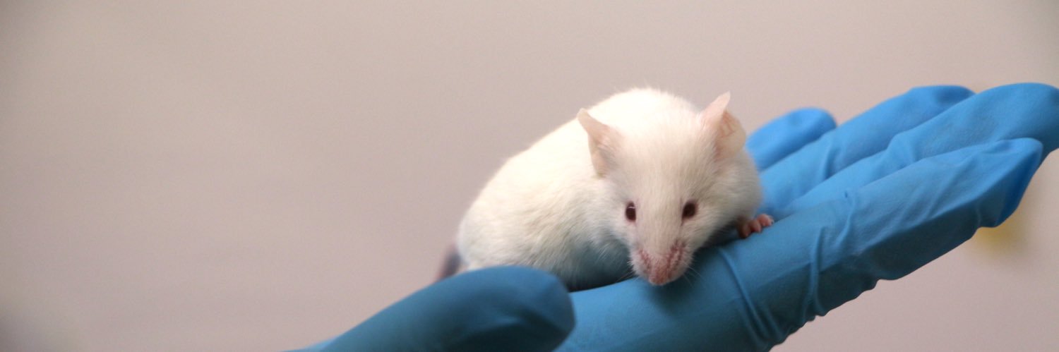 TRACE_PDX Platform banner