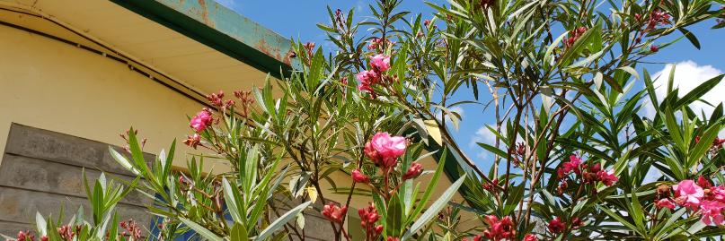 Christopher Ferry banner